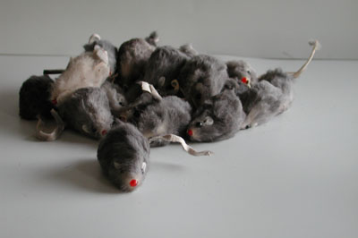 rabbit fur mice cat toys