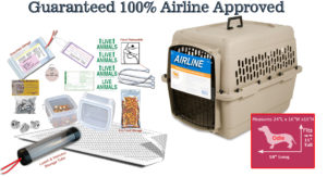 All in one Airline Approved Carrier Package
