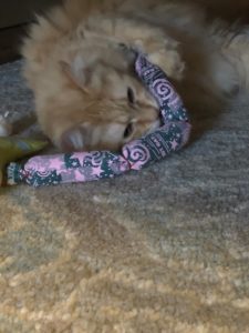 Hot Cat Catnip Cat Toy