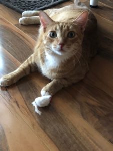 white rabbit fur mice cat toy