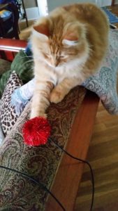 Tuff Kitty Puff Pom Pom Wand Cat toy